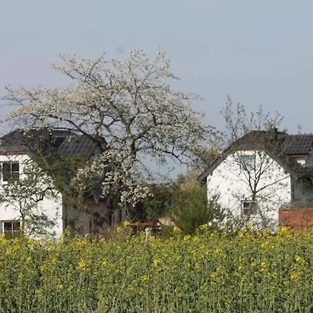 W Bialej - Mak * Marcinowice