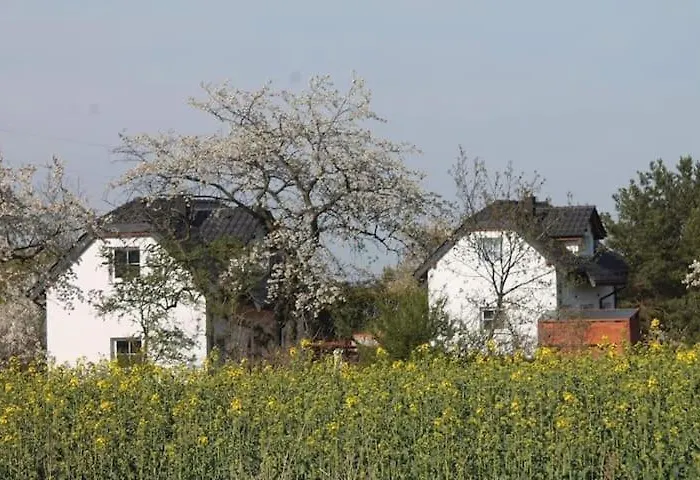 W Bialej - Mak * Marcinowice